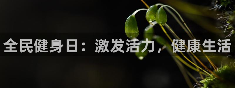 z6尊龙官方网站：全民健身日：激发活力，健康生活